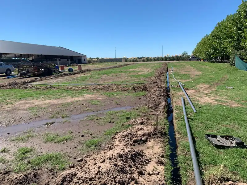 Riegos por aspersión 11