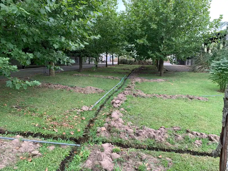 Riegos por aspersión 14